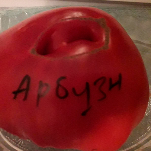 Arbuznyy томат