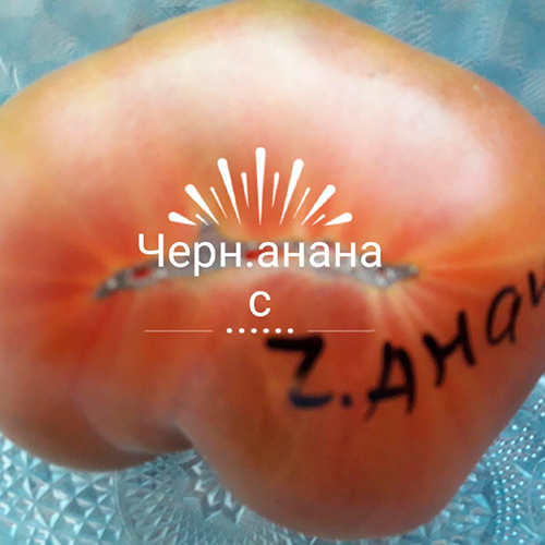 Chernyy ananas томат
