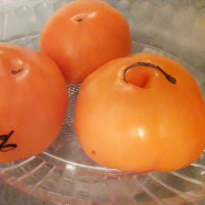 Ekzoticheskiy frukt томат