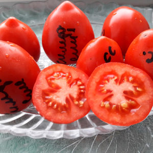 Simferopol'skaya slivka томат