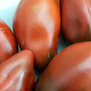 Sort-tomata-Kubinskiĭ-pertsevidny