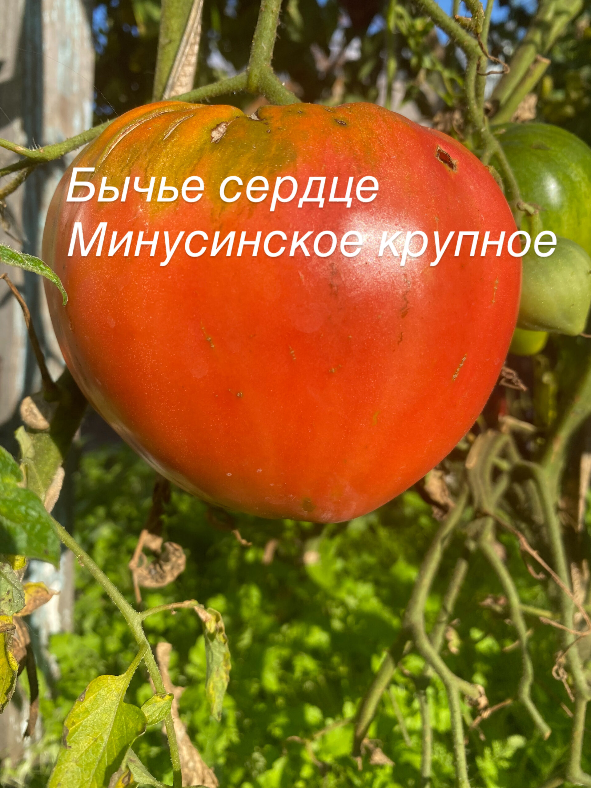 672F3617-F4D0-426A-BFA2-D172AA1B593B