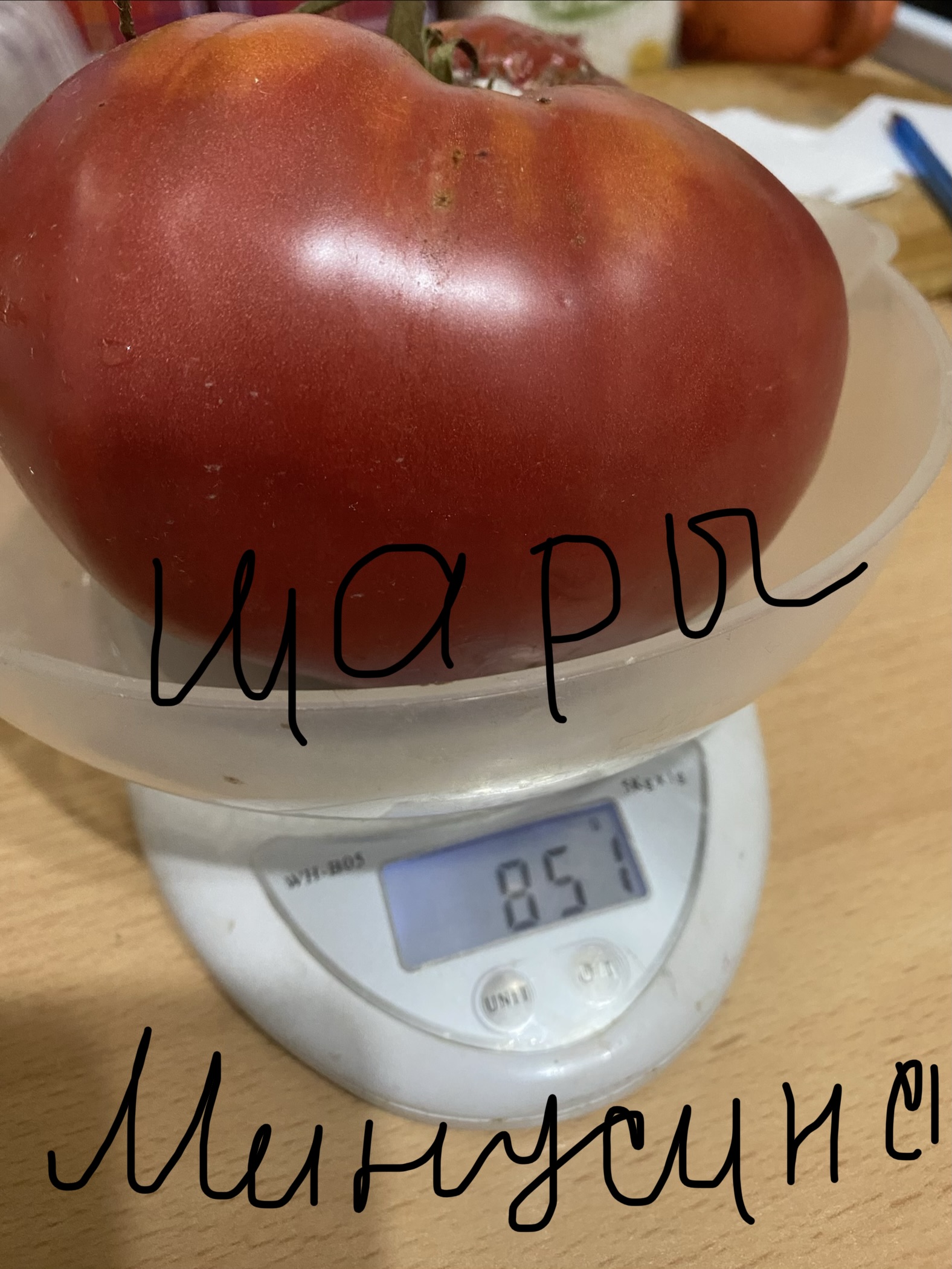 Шары минусинские